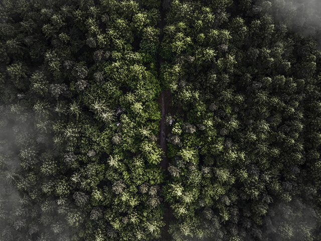 Card cover image